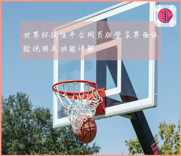 世界杯投注平台网页版登录界面体验说明及功能详解