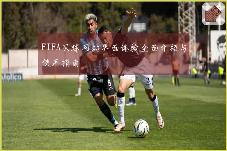 FIFA买球网站界面体验全面介绍与使用指南