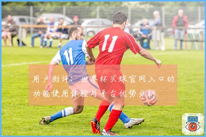 用户测评：世界杯买球官网入口的功能使用体验与平台优势分析