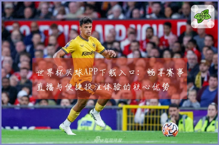 世界杯买球APP下载入口：畅享赛事直播与便捷投注体验的核心优势