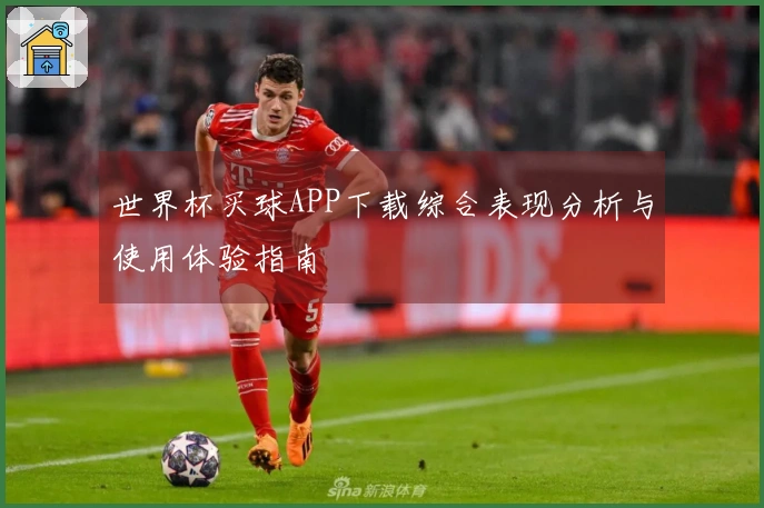 世界杯买球APP下载综合表现分析与使用体验指南