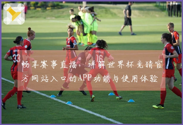 畅享赛事直播,详解世界杯竞猜官方网站入口的APP功能与使用体验