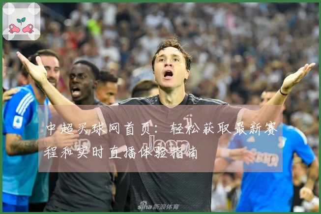 中超买球网首页：轻松获取最新赛程和实时直播体验指南