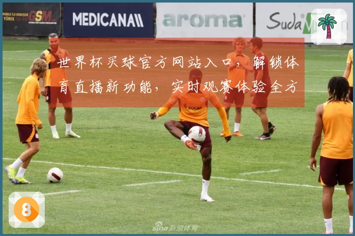 世界杯买球官方网站入口,解锁体育直播新功能,实时观赛体验全方位升级