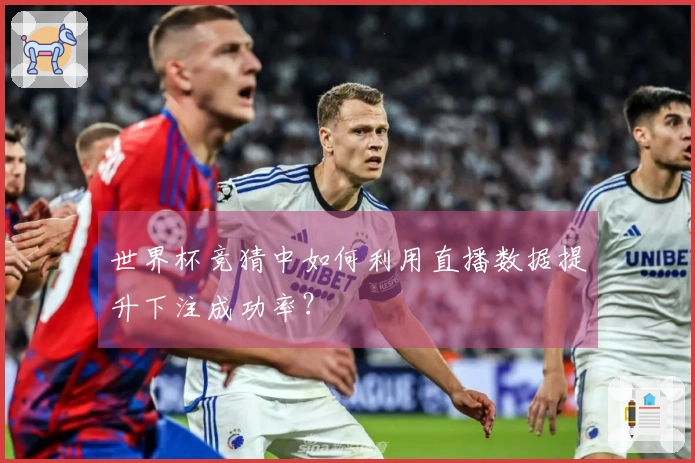世界杯竞猜中如何利用直播数据提升下注成功率？