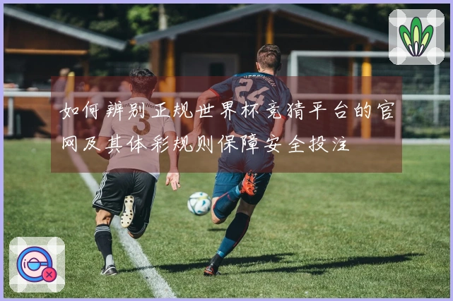 如何辨别正规世界杯竞猜平台的官网及其体彩规则保障安全投注
