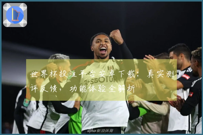 世界杯投注平台安卓下载：真实测评反馈，功能体验全解析