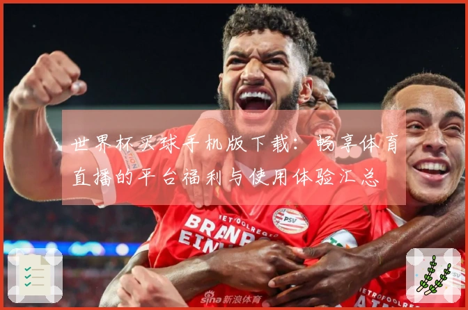 世界杯买球手机版下载：畅享体育直播的平台福利与使用体验汇总