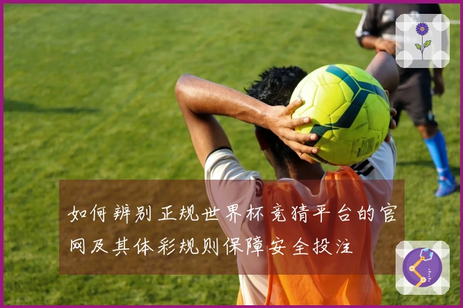 如何辨别正规世界杯竞猜平台的官网及其体彩规则保障安全投注