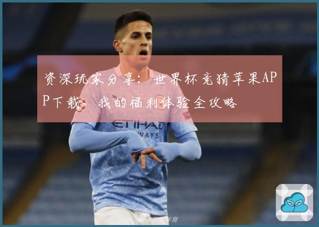资深玩家分享：世界杯竞猜苹果APP下载，我的福利体验全攻略