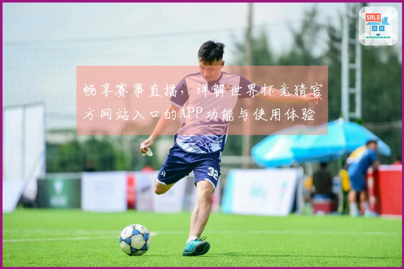 畅享赛事直播，详解世界杯竞猜官方网站入口的APP功能与使用体验